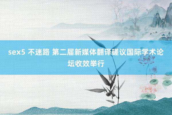 sex5 不迷路 第二届新媒体翻译磋议国际学术论坛收效举行