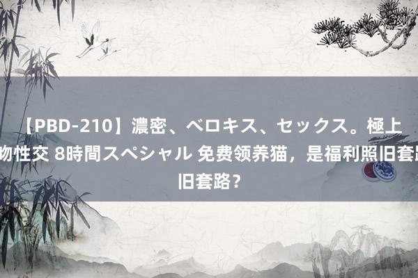 【PBD-210】濃密、ベロキス、セックス。極上接吻性交 8時間スペシャル 免费领养猫，是福利照旧套路？