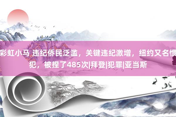 彩虹小马 违纪侨民泛滥，关键违纪激增，纽约又名惯犯，被捏了485次|拜登|犯罪|亚当斯