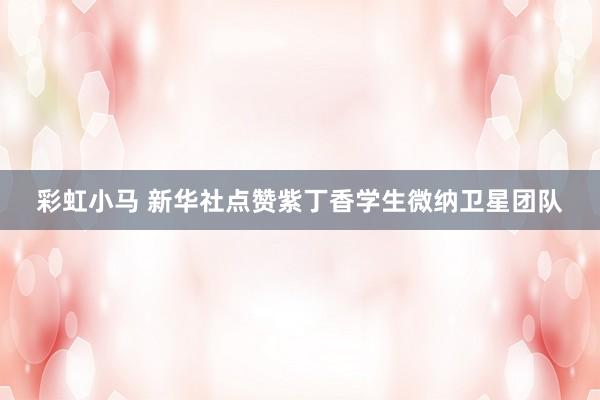 彩虹小马 新华社点赞紫丁香学生微纳卫星团队
