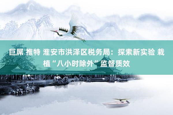 巨屌 推特 淮安市洪泽区税务局：探索新实验 栽植“八小时除外”监督质效