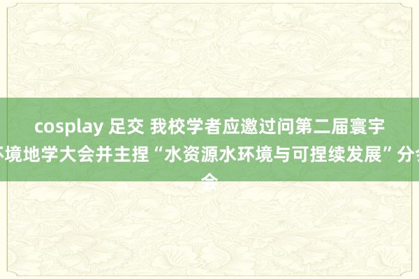cosplay 足交 我校学者应邀过问第二届寰宇环境地学大会并主捏“水资源水环境与可捏续发展”分会