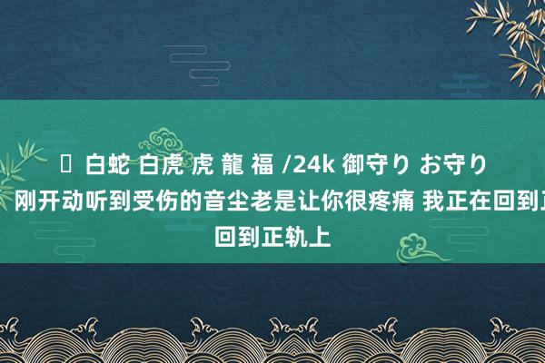 ✨白蛇 白虎 虎 龍 福 /24k 御守り お守り 锡安：刚开动听到受伤的音尘老是让你很疼痛 我正在回到正轨上